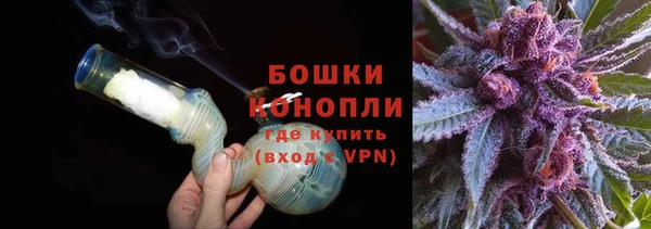 дживик Козловка