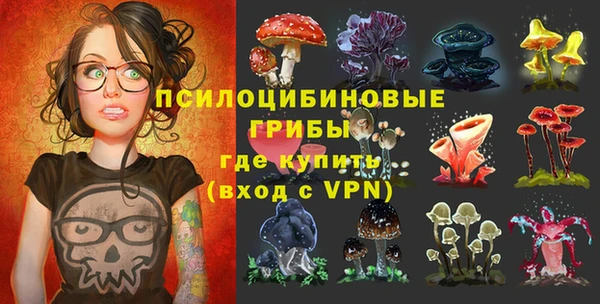 дживик Козловка