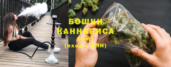 дживик Козловка