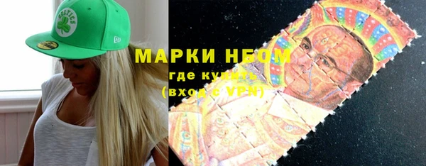 сатива Медногорск