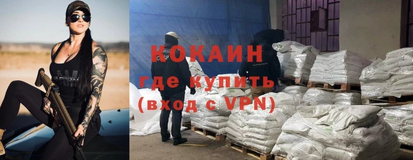 дживик Козловка