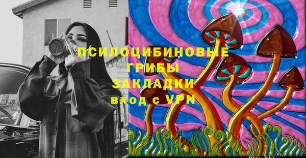 apvp Кодинск
