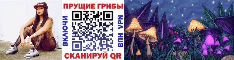 Галлюциногенные грибы мицелий  где купить наркоту  Фатеж 